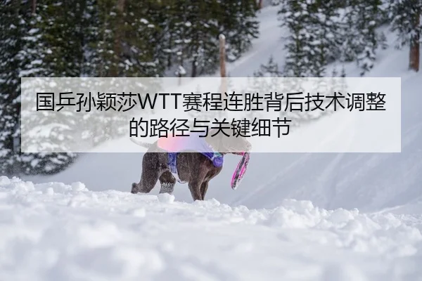 国乒孙颖莎WTT赛程连胜背后技术调整的路径与关键细节
